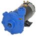 AMT 12DC-98 - 12v DC High Head Washdown Pump